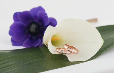 Similar image 7427959