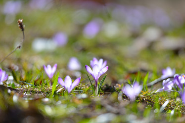 Similar image 7428040