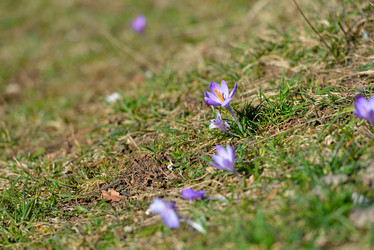 Similar image 7428042