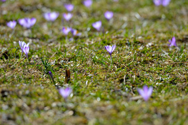 Similar image 7428043