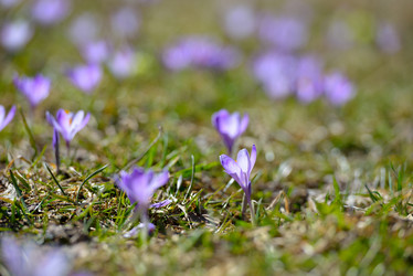 Similar image 7428045