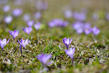 Similar image 7428046