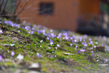 Similar image 7428048