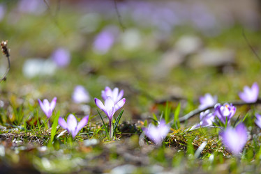 Similar image 7428049