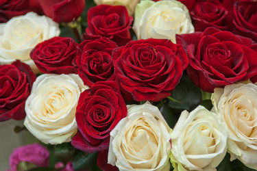 Similar image 7428217