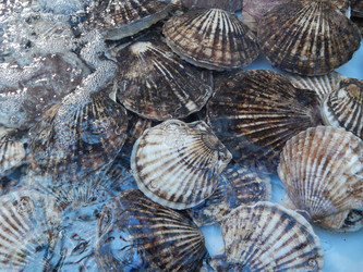 Similar image 7429009