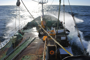 Similar image 7429050