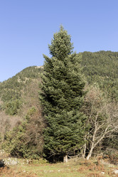 Similar image 7429128