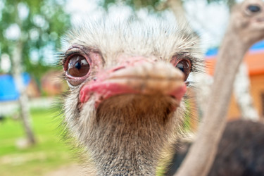 Similar image 7429390