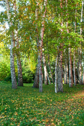 Similar image 7429442