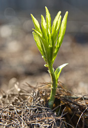 Similar image 7429674