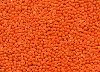 Similar image 7429709