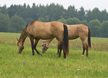 Similar image 7429719