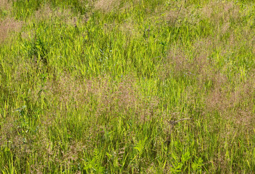 Similar image 7429720