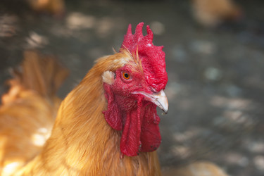 Similar image 7429793