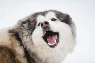 Similar image 7429999