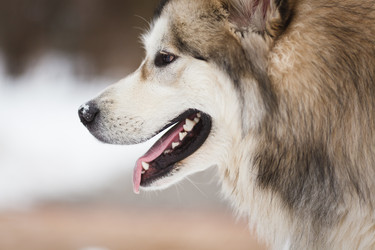 Similar image 7430001