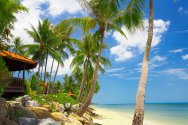 Similar image 7430315