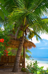 Similar image 7430316