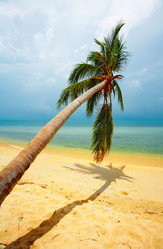 Similar image 7430322