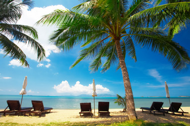 Similar image 7430324