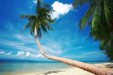 Similar image 7430325