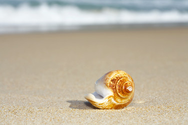 Similar image 7430334