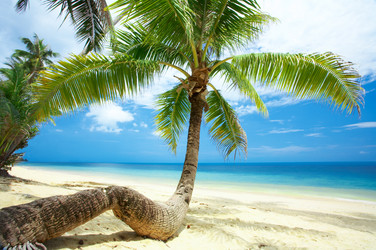 Similar image 7430344