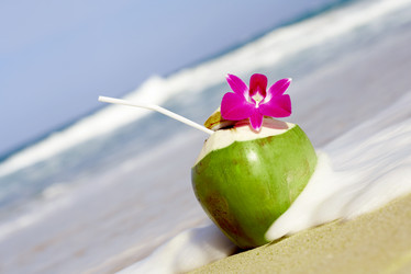 Similar image 7430346