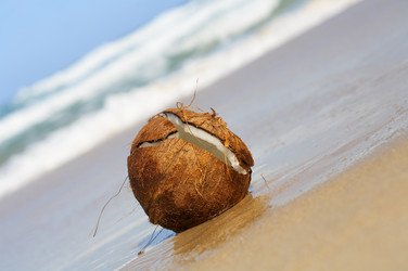 Similar image 7430358