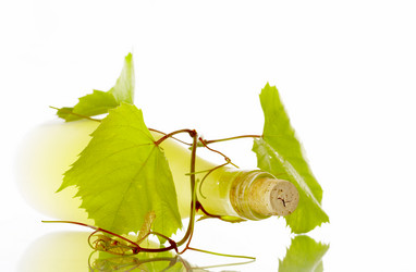 Similar image 7430396