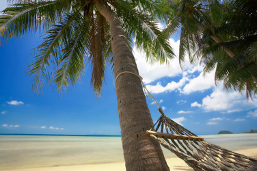 Similar image 7430409