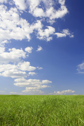 Similar image 7430416