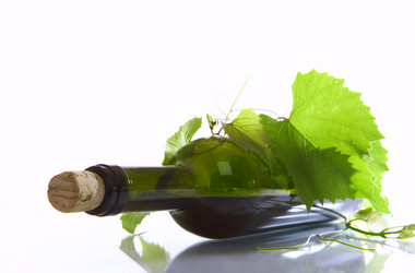 Similar image 7430424