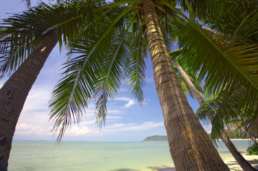 Similar image 7430458