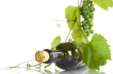 Similar image 7430459