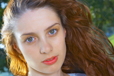 Similar image 7430482