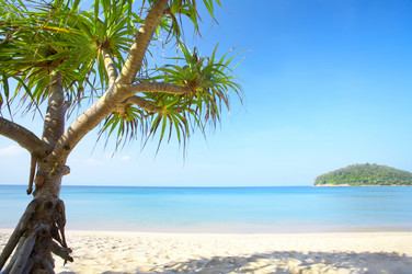 Similar image 7430492