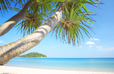 Similar image 7430495