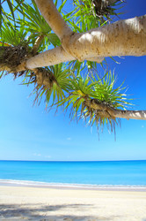 Similar image 7430496