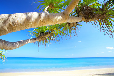 Similar image 7430499