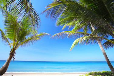 Similar image 7430504