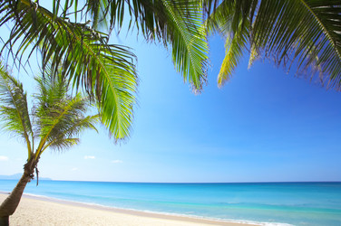 Similar image 7430508