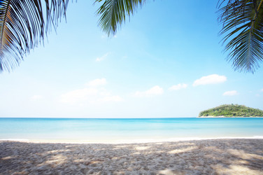 Similar image 7430520