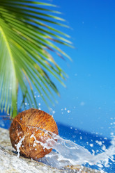 Similar image 7430536