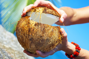 Similar image 7430565