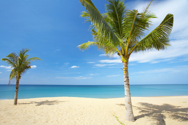 Similar image 7430575