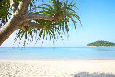 Similar image 7430588