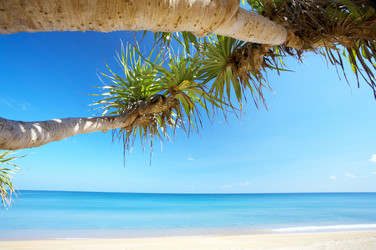 Similar image 7430595