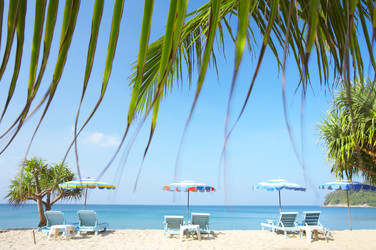 Similar image 7430602